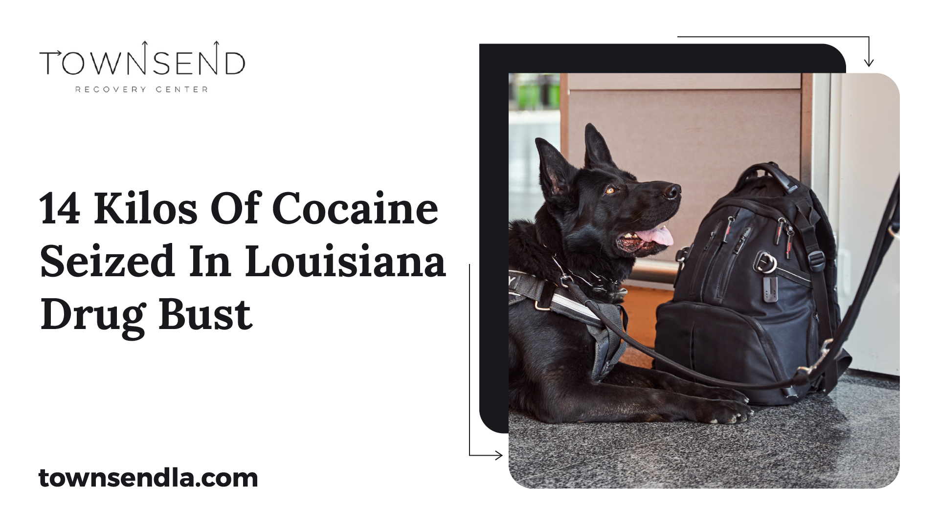 14 Kilos of Cocaine Seized in Louisiana Drug Bust